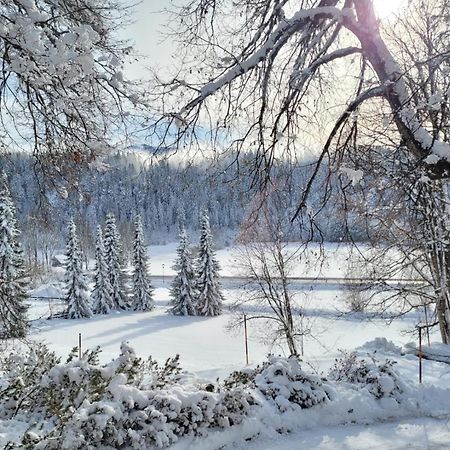 Appartement Wieser Ramsau am Dachstein Buitenkant foto